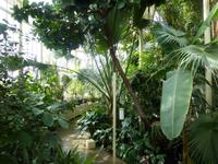 Dublin - National Botanic Garden