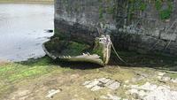Am Garvoge River in Sligo