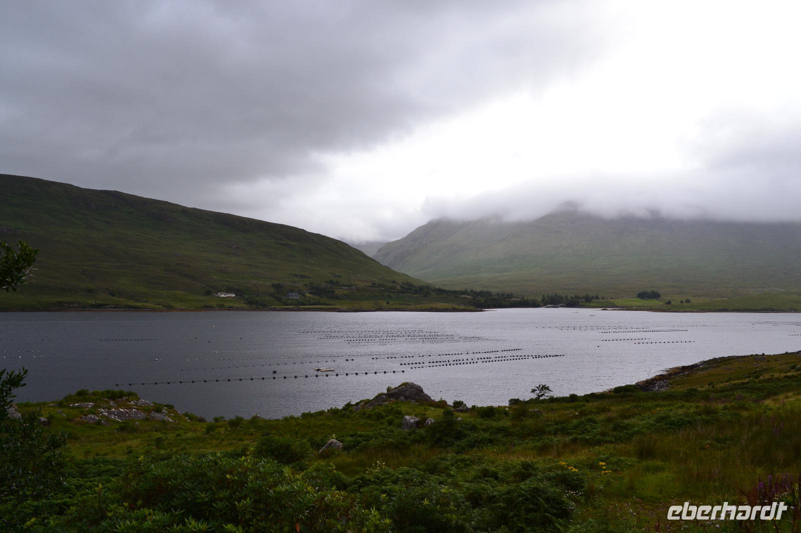 Am Killary Harbour