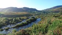 Am Ring of Kerry