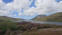 Am einzigen Fjord Irlands - Killary