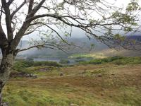 An Ladies View