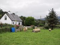 Antrim Coast Road