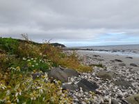 Antrim Coast