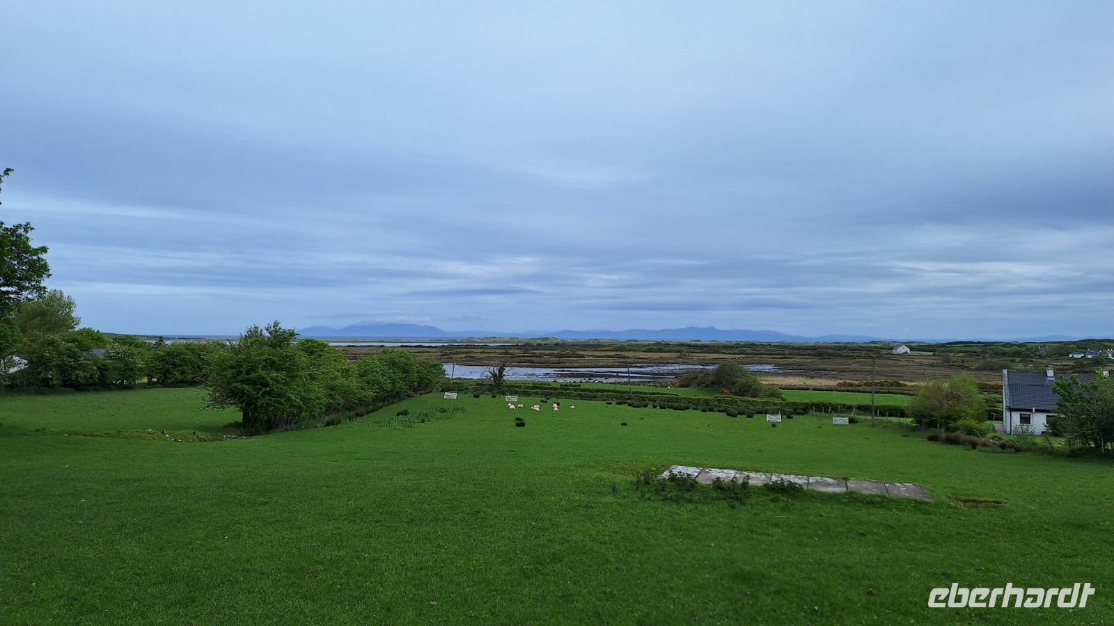 Atlantic Sheepdogs