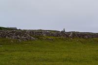 Auf den Aran Islands