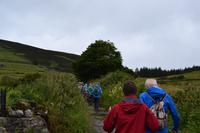 Aufstieg zum Knocknarea