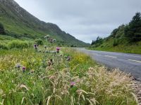 Barnesmore Gap