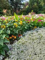 Belfast: Botanischer Garten