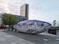 Belfast