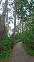 Belgian Walk im Glenveagh Nationalpark