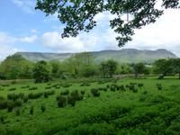 Benbulben