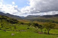 Black Valley