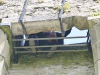 Blarney Castle