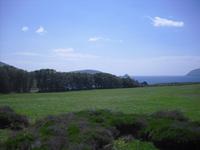 Blasket Centre 