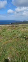 Blick über das Meer zu Down Patrick Head