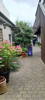 Blick in den Hinterhof von Butlers Haus in Kilkenny