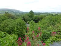 Blick von Alwee Cave auf Burren Gebiet