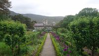 Blick zum Castle