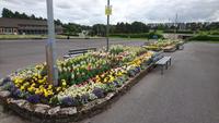 Blumenrabatte in Knock