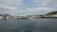 Bootsfahrt Dingle