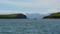 Bootsfahrt Dingle