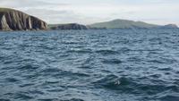 Bootsfahrt Dingle