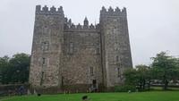 Bubratty Castle