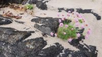 Bunbeg Beach