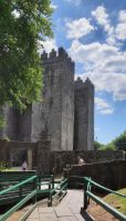 Bunratty Castle and Gardens
