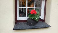 Bunratty