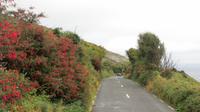 Burren - Black Head