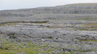Burren - Black Head