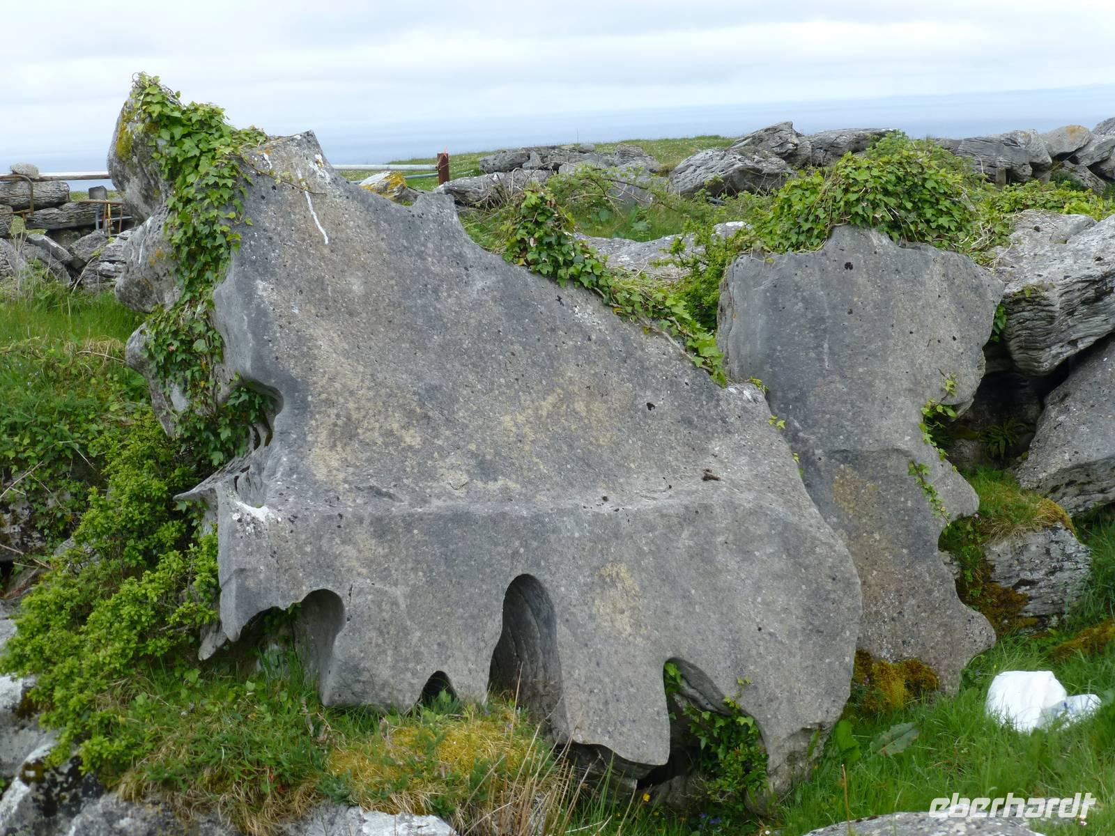 Burren - Burren Way