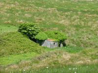 Burren Way