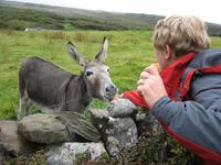 Burren Way
