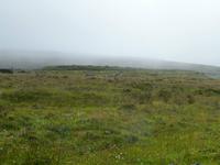 Burren Way