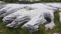Burren