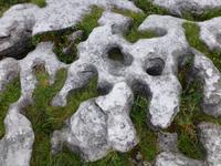 Burren