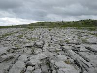 Burrenlandschaft