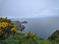 Carrick-A-Reede