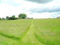 Carrowmore.......