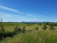 Carrowmore