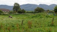 Carrowmore