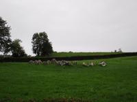 Carrowmore