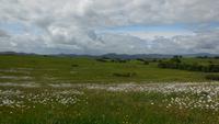 Carrowmore