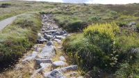 Ceide Fields