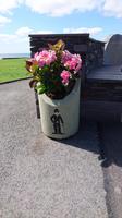 Charlie in Waterville
