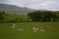 Clew Bay