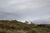 Clew Bay
